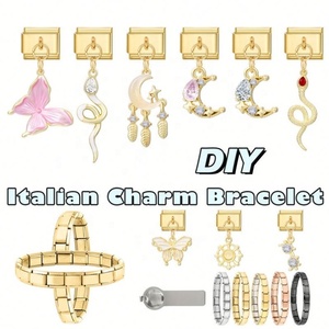 Cross-Border Hot Pink Series Gold Pendant DIY Stainless Steel <b>Bracelet</b> Italian Module Accessories for Fashion Charm <b>Bracelets</b> - Product Image 5