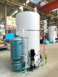 Chaudière compacte de 100 kg à 1500 kg pour ferme de culture de champignons, générateur de vapeur à granulés de bois pour <span class=keywords><strong>chauffage</strong></span> <span class=keywords><strong>central</strong></span> domestique - Product Image 6