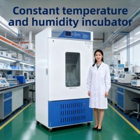 Incubateur de laboratoire biochimique Topstar à chauffage électrique, contrôle constant de la température et de l'humidité, éclairage artificiel
