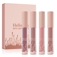 Longue durée haute Pigment Sexy lèvre mat Nude rouge à lèvres Kits mat cosmétique étanche rouge à lèvres