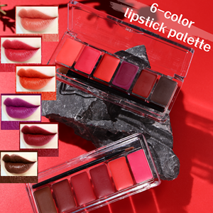 Paleta de Labiales en Crema de 6 Colores, Marca Privada, Larga Duración, Alta Pigmentación, Maquillaje Labial con Pincel - Product Image 1
