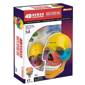 4D Thạc Sĩ Giáo Dục Nhựa/PVC Con Người Phát Nổ Sọ Giải Phẫu Bộ Xương Thân Sinh Học Y Tế Hình Khoa Học Tự Nhiên Dạy Học - Product Image 4