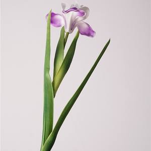 Fleurs artificielles du fabricant direct, toucher réaliste, petites fleurs d'<span class=keywords><strong>iris</strong></span> en PU, fleurs décoratives douces, fraîches et simples pour la maison, mariage et <span class=keywords><strong>photographie</strong></span> - Product Image 6