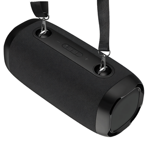 ZEBRONICS Sound Feast 85 Portable pour Enceinte 30W 7 Heures d'Autonomie Double Radiateur Passif BTv5.3 TWS USB LED RGB Appel - Product Image 1