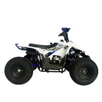 Quad enfant SG Blazer 90 à essence 50CC/70CC/90CC certifié CE avec transmission automatique, fourni directement par l'usine, remorques agricoles économiques