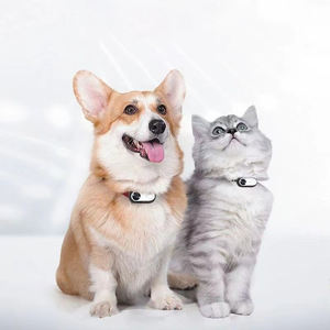 Nueva Mini Cámara de Bolsillo <span class=keywords><strong>2026</strong></span>, Cámara Corporal con <span class=keywords><strong>Collar</strong></span> 1080P HD Antivibración para Mascotas, Ciclismo, Motocicleta, Vlog, Deportes al Aire Libre - Product Image 2