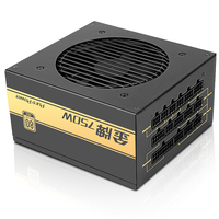 Fuente de Alimentación SAMA 80plus Gold 750w, Totalmente Modular, Doble 12V, ATX, Económica para PC