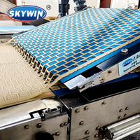 Ligne de production de biscuits robuste et longue durée de vie 2026 pour climat chaud (Égypte)