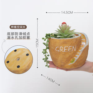 Pot à Succulentes Créatif en Résine Style Rustique, Petit Pot de Jardinage <span class=keywords><strong>DIY</strong></span> pour <span class=keywords><strong>Balcon</strong></span>, Pot de Plantes Vertes de Bureau, Vente en Gros - Product Image 4