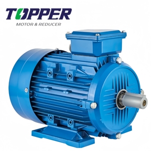 Motores de Inducción Trifásicos de CA Serie IE4 de Alta Calidad a Precio de Fábrica, Hierro Fundido, 18.5-30KW, 50Hz/60Hz, IP44/IP54/IP55, para Bombas - Product Image 4