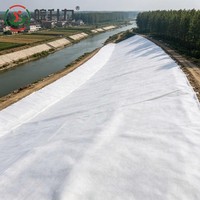 WSL Géotextile anti-âge perméable à fibres longues, couche filtrante de séparation pour les travaux de protection des talus de routes municipales