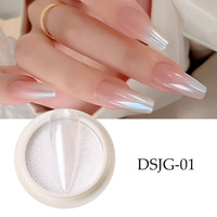 Poudre Effet Glace 6 Couleurs, Poudre Solide Blanche Clair de Lune, Poudre Aurore, Poudre Miroir Magique Électroplaquée