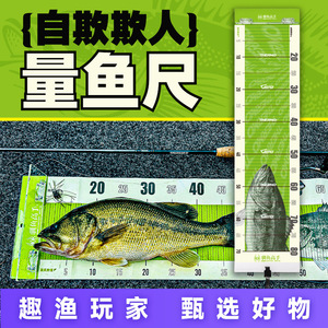 Règle de mesure de poisson Fish Taming Master, 20-80 cm, pour la pêche au bar en eau douce, outil de pêche à la ligne - Product Image 1