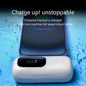 NEW Hot Selling Capsule Power Bank 5000mah Mini Portable Power Banks Customized Universal Charger With LED Display For Iphone W1