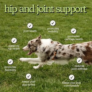 รับผลิตแบบ OEM/ODM ผลิตภัณฑ์เพื่อสุขภาพสัตว์เลี้ยงหลากหลายประเภท เช่น โพรไบโอติกส์ ยาช่วยผ่อนคลาย อาหารเคี้ยวแบบนุ่ม และอื่นๆ - Product Image 4