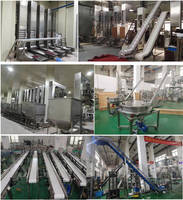 Petite machine inclinée de convoyeur à bande de catégorie comestible de prix usine pour l'industrie alimentaire, système de convoyeur pour le fruit