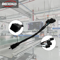 Harnais de câblage électrique automobile personnalisé BeiXing E00002, conducteur en cuivre nu, isolation en PVC, 12V, adaptateur IP66 pour automobiles