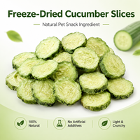 Chips de Concombre Lyophilisées Premium, Riches en Protéines, Saines, Naturelles, à Ingrédient Unique, Snack Végétal, Friandises pour Chiens et Chats, Vente en Gros, OEM