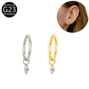 Anting <span class=keywords><strong>Titanium</strong></span> F136 Model Dangle Zircon, Stud Tulang Rawan Telinga Berkualitas Tinggi, Anting Daith Rook Hoop, Perhiasan Tindik Tubuh, Grosir - Product Image 3