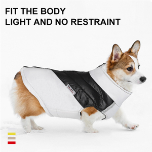 Manteau d'hiver chaud et imperméable en coton PP pour chien, vente en gros du fabricant - Product Image 2