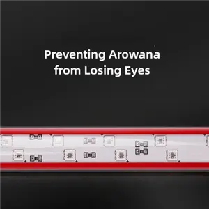 Mayin Arowana Kleurversterkende Beeldverlichting <span class=keywords><strong>Aquarium</strong></span> Speciale Waterdichte LED Rode Arowana Lamp voor Visvijvers van Verschillende Grootte - Product Image 3