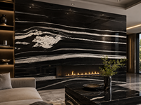 Dalle de granit Black Horse pour murs décoratifs de luxe, comptoirs et projets d'aménagement intérieur d'hôtels, découpe sur mesure