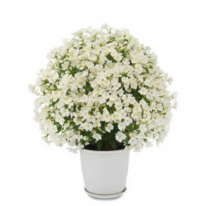 Bouquet de fleurs artificielles en soie au toucher réel, <span class=keywords><strong>iris</strong></span> japonica papillon, pour mariage, <span class=keywords><strong>d</strong></span>écoration de la maison et de fêtes - Product Image 3
