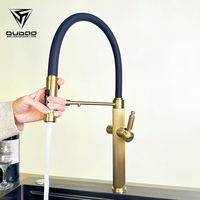 Robinet de cuisine moderne de luxe en or brossé chaud et froid en acier inoxydable avec pulvérisateur extractible et filtre