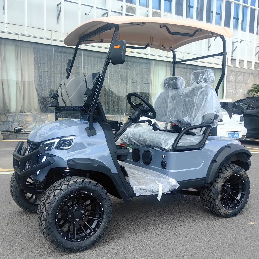 Fabrieksprijs Aangepast Luxe Zone Elektrische Golf Buggy Club Auto 2 4 6 Seater Straat Legale Golfkarretjes