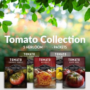 Ensemble <span class=keywords><strong>de</strong></span> 5 variétés <span class=keywords><strong>de</strong></span> graines <span class=keywords><strong>de</strong></span> tomates anciennes colorées, non-OGM, pour pot suspendu au sol, incluant Black Krim et Great White Aunt - Product Image 6