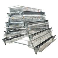 Cages en batterie pour poules pondeuses d'élevage avicole