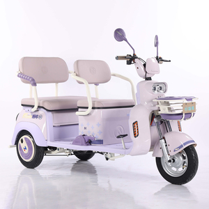 EEC điện ba bánh 1000W mở cơ giới Tuk xe với 48V điện áp 300kg tải trọng Công suất hành khách và hàng hóa tiện ích trimoto - Product Image 1