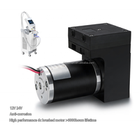 Pompe à air portable mini double diaphragme 12V 24V personnalisée, résistante à la corrosion, silencieuse, sans huile, haute efficacité pour l'industrie automobile
