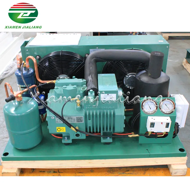 Factory 3hp 5hp 6hp 10hp Germany Air Cooled Compressor Condensing Unit For Cooling System Refrigeration