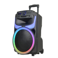 Altavoz de Karaoke, Altavoces Grandes para Fiestas al Aire Libre, Altavoces de Escenario, Bocinas de 15 Pulgadas, Altavoz con Ruedas y Micrófono Inalámbrico