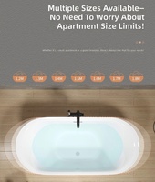 Baignoire autoportante en acrylique sans installation, design moderne, pour usage domestique en petits espaces, spa indépendant mobile, mini-baignoire pour personnes âgées