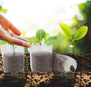 Pots de fleurs en tissu non tissé pour plantation, graines d'arbre à fruits, graines organiques, pour croissance - Product Image 6