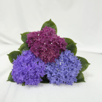 Hydrangea artificielle bleue à grande tête, tige unique, toucher réel, pour décoration intérieure et arrangements DIY (vente en gros)