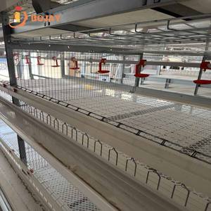 En iyi otomatik içme tavuk yumurta tavuk kafesleri için 3/4 katlı 96/120/128/160 kuşlar kümes hayvancılığı tavuk tavuk yumurta koleksiyonu - Product Image 4
