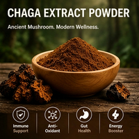 Poudre d'extrait de polysaccharides de champignon Chaga biologique 10% USDA EU Corps fruiteur Vente en gros Usine