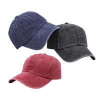 Gorra de Béisbol Retro Estilo Desgastado con Efecto Descolorido por el Sol, Personalizable con su Logotipo