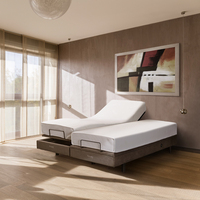 Cadre de lit King Size avec éclairage LED, lit réglable Split King, cadre de lit moderne Queen Size