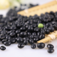 Nouvelle récolte de haricots noirs secs d'origine chinoise avec noyau vert, soja noir pour l'exportation