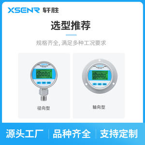 Manómetro Digital XSENR de 80 mm YBS80ZT 4-20 mA RS485 con Pantalla Remota, Instrumento de Precisión - Product Image 2