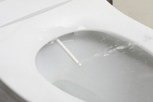 Опрыскиватель для унитаза - Product Image 5