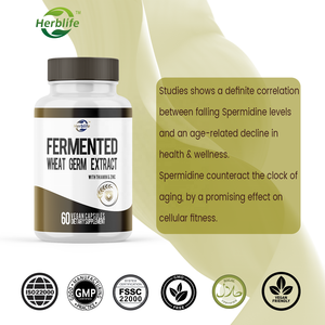 Extracto de Germen de Trigo Fermentado Haccp OEM ODM, 60 Cápsulas Veganas con Tiamina y Zinc, Suplemento Dietético para el Apoyo Inmunológico - Product Image 4