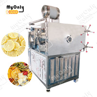 MY Freeze Sublimation Machine à sécher les fruits Lyophilisateur Machine 1000kg Candy Freeze Dry