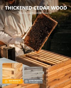 Nouveau Kit de démarrage pour ruche Langstroth 20 cadres, en bois de cèdre enduit de cire d'abeille, avec 1 ruche profonde et 1 ruche moyenne, et fenêtres transparentes en acrylique - Product Image 2