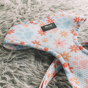 Fabricante al por mayor de lujo elegante cómodo suave poliéster moderno impreso perro arnés duradero acolchado perro Correa conjunto - Product Image 3