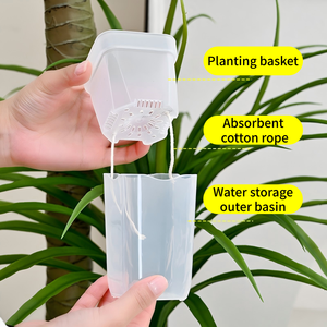 Pot de fleurs carré en <span class=keywords><strong>plastique</strong></span> translucide épaissi pour plantes succulentes, avec graduation intégrée - Product Image 5